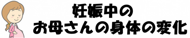 妊娠中のお母さんの身体の変化