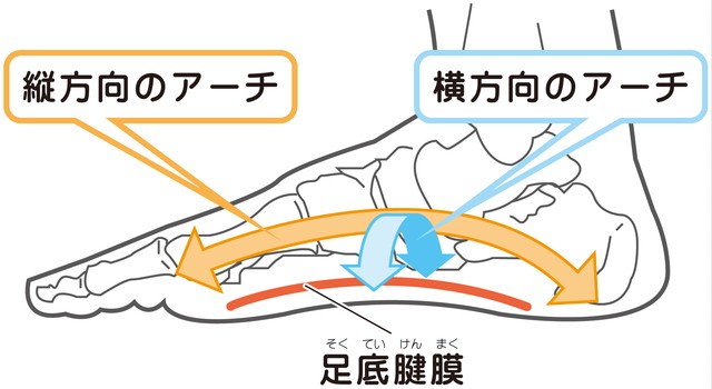 ソース画像を表示