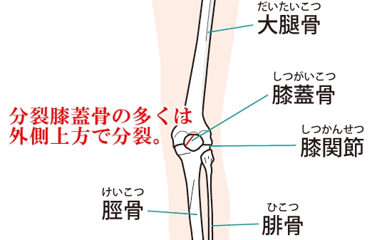 膝蓋骨