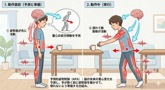 予測的姿勢制御