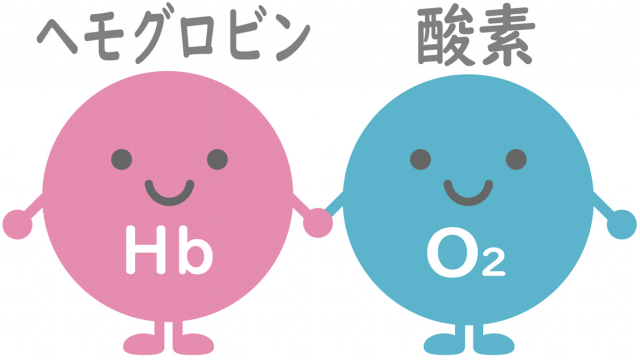 ヘモグロビン　酸素