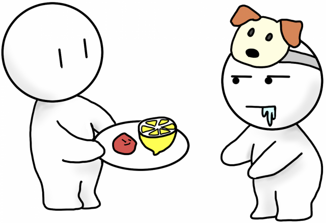 梅干し　レモン