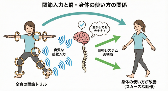 神経学トレーニング