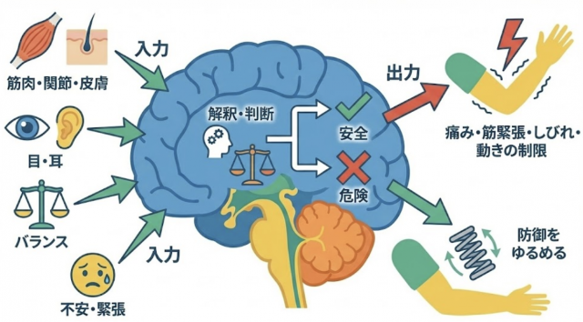 症状はブレーキ