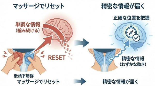 マッサージ　めまい