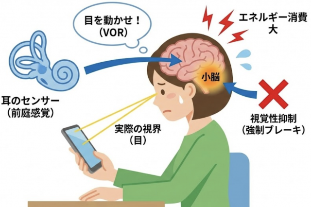前庭動眼反射　抑制　小脳